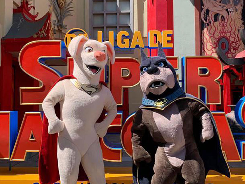 Image of Meet Ace and Krypto of DC Supermascots League